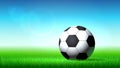 Soccer ball on the grass Royalty Free Stock Photo