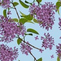 Spring floral background. Branch of a blossoming Lilac seamless pattern.