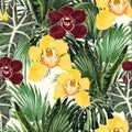 Yellow, burgundy orchid tropical exotic flower seamless pattern.