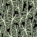 Exotic seamless pattern. Realistic floral illustration with rein forest plants leaves.