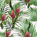 Seamless pattern, bright green colors palm leaves and tropical exotic red protea flowers. Royalty Free Stock Photo