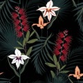 Seamless pattern with tropical palm leaves and paradise protea flowers. Tropical illustration. Royalty Free Stock Photo