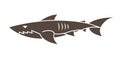 Shark swim cartoon graphic vector. Royalty Free Stock Photo