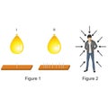 Physics - Pressure and surface area experiments