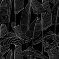 Beautiful Palm Tree Leaf Silhouette Seamless Pattern Background Illustration EPS10.