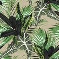 Beautiful seamless floral pattern background with tropical bright palm leaves and exotic ficus plants. Royalty Free Stock Photo