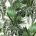 Beautiful seamless floral pattern background with tropical bright palm leaves and exotic plants. Royalty Free Stock Photo