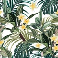 Seamless pattern with tropical leaves and paradise plumeria flowers. Dark and bright green palm monstera leaves on the white backg Royalty Free Stock Photo