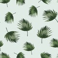 Tropical background with jungle plants. Seamless vector tropical pattern with palm leaves. Royalty Free Stock Photo