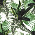 Beautiful seamless floral pattern background with tropical bright palm leaves and exotic ficus plants. Royalty Free Stock Photo