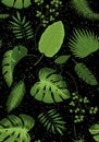Realistic illustration of tropical plant leaves set. Monstera, fern, palm, yucca. Tropical plant concept dot background
