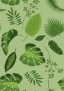 Realistic illustration of tropical plant leaves set. Monstera, fern, palm, yucca. Tropical plant concept