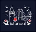 Modern vector illustration Istanbul with hand drawn doodle turkish symbols: Galata tower, tea glass, seagull, tulip, Bosphorus bri