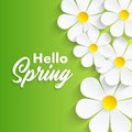 Hello Spring background with camomile flowers