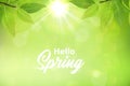 Spring background with green leaves