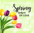 Spring card with tulip flowers