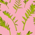 Nature seamless pattern. Hand drawn abstract tropical summer background: Zamioculcas leaves, line art.