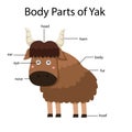 Illustrator of body parts of yak Royalty Free Stock Photo