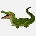 Cartoon crocodile isolated on white background