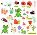 Frogs beetles and flowers Royalty Free Stock Photo