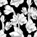 Amaryllis hippeastrum lilly flower branch black and white outline sketch seamless pattern. Spring floral bouquet foliage element.