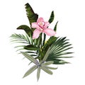 Composition with pink orchid flowers branch and many kind of exotic plants and palm leaves. Royalty Free Stock Photo