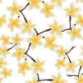 Seamless pattern with yellow flowers. Floral dÃÂ©cor of plumeria branch. Royalty Free Stock Photo