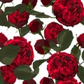 Illustration of red roses and leaves. Seamless pattern of blossom flowers on white background. Royalty Free Stock Photo