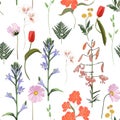 Seamless floral pattern on a white background. Spring flowers and herb. Royalty Free Stock Photo