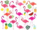 Vector Collection of Flamingos, Tropical Leaves, Fruit and Summery Drinks Royalty Free Stock Photo