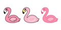 Pink flamingo vector set Cartoon Cute flamingos collection character animal exotic nature wild fauna illustration