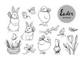 Vector collection of spring and easter elements on white background. Set of bunnies, chicken, butterflies, spring flowers