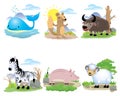 Vector animal set, Whale, ground squirrel, wild buffalo, zebra, pig, sheep,