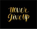 Never give up motivational quote. Hand written inscription. Hand drawn lettering. Never give up phrase Royalty Free Stock Photo