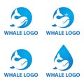 Whale Logo in the Circle with Negative Space Concept