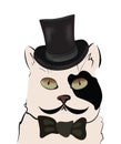 Illustration of a Cat with Cylinder. Black and White Kitten with Hat and Bow Tie. Royalty Free Stock Photo