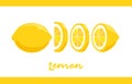 Fruit Illustration pack Lemon in Whole and Sliced