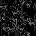 Hippeastrum lilly blooming flowers seamless pattern.