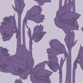 Hippeastrum lilly blooming flowers seamless pattern. Dark violet line flowers.