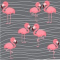 Print cute flamingo