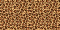 Print leopard pattern texture repeating seamless orange black Royalty Free Stock Photo