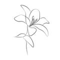 Print One line drawing flower, vector illustration Royalty Free Stock Photo