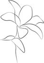 Print One line drawing flower, vector illustration Royalty Free Stock Photo