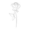 Print One line drawing rose flower, vector illustration Royalty Free Stock Photo