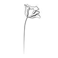 Print One line drawing flower, vector illustration Royalty Free Stock Photo