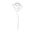 Print One line drawing rose flower, vector illustration Royalty Free Stock Photo