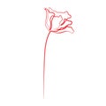 Print One line drawing rose flower, vector illustration Royalty Free Stock Photo