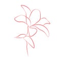 One line drawing flower, vector illustration Royalty Free Stock Photo