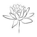 One line drawing flower, vector illustration Royalty Free Stock Photo