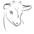 Print vector goat one line draw illustration